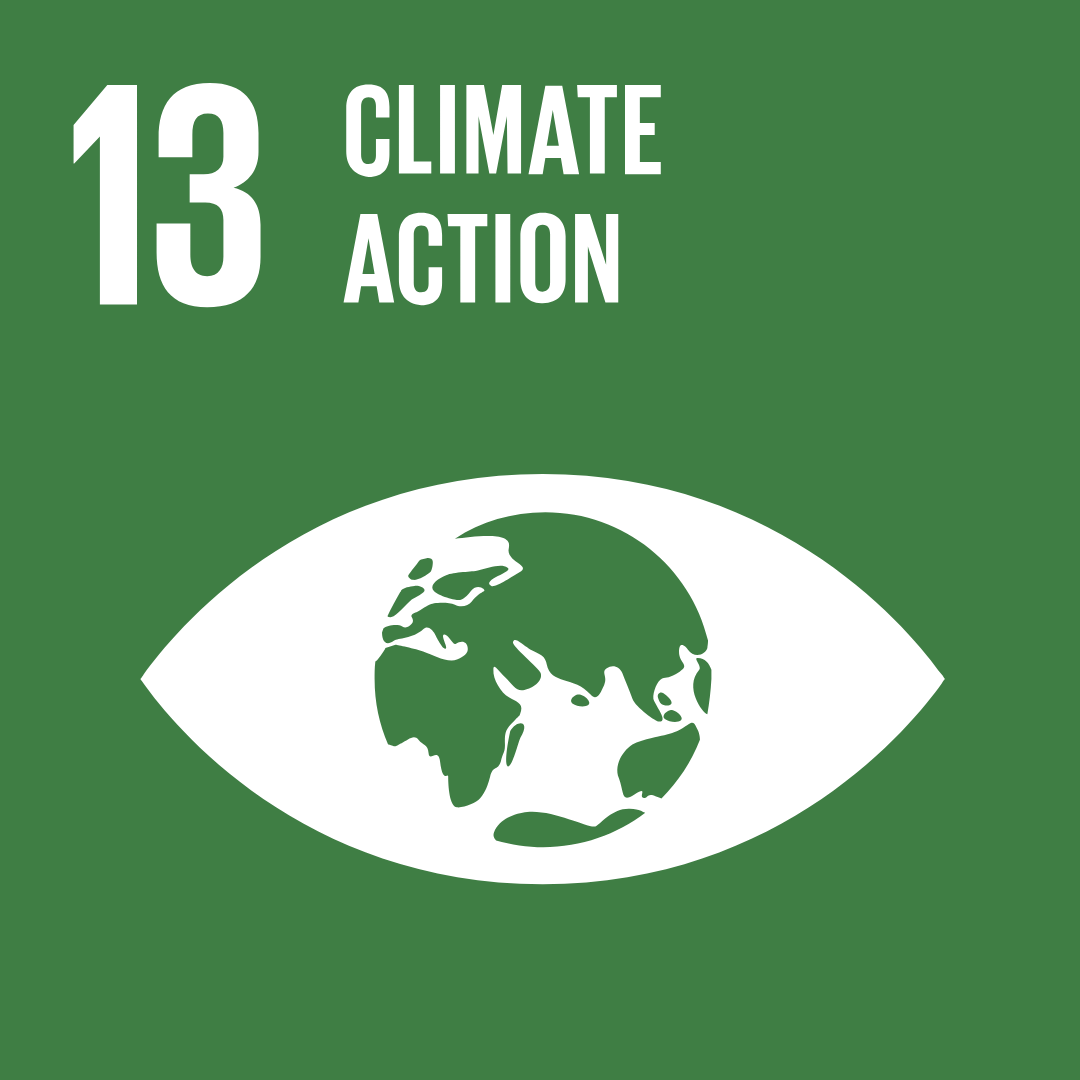 picture of SDG13 icon: Climate action depicted by the globe as the pupil of an eye